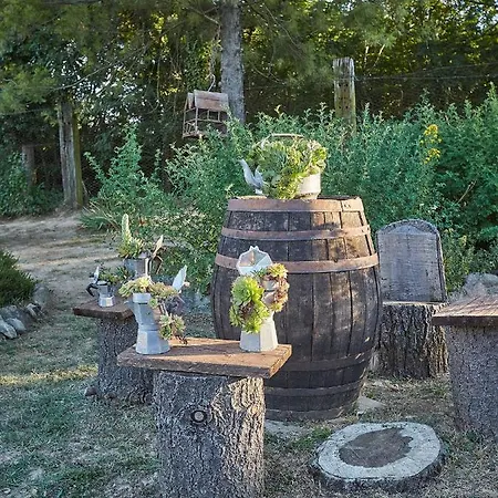 Bed & Breakfast Il Boschetto *